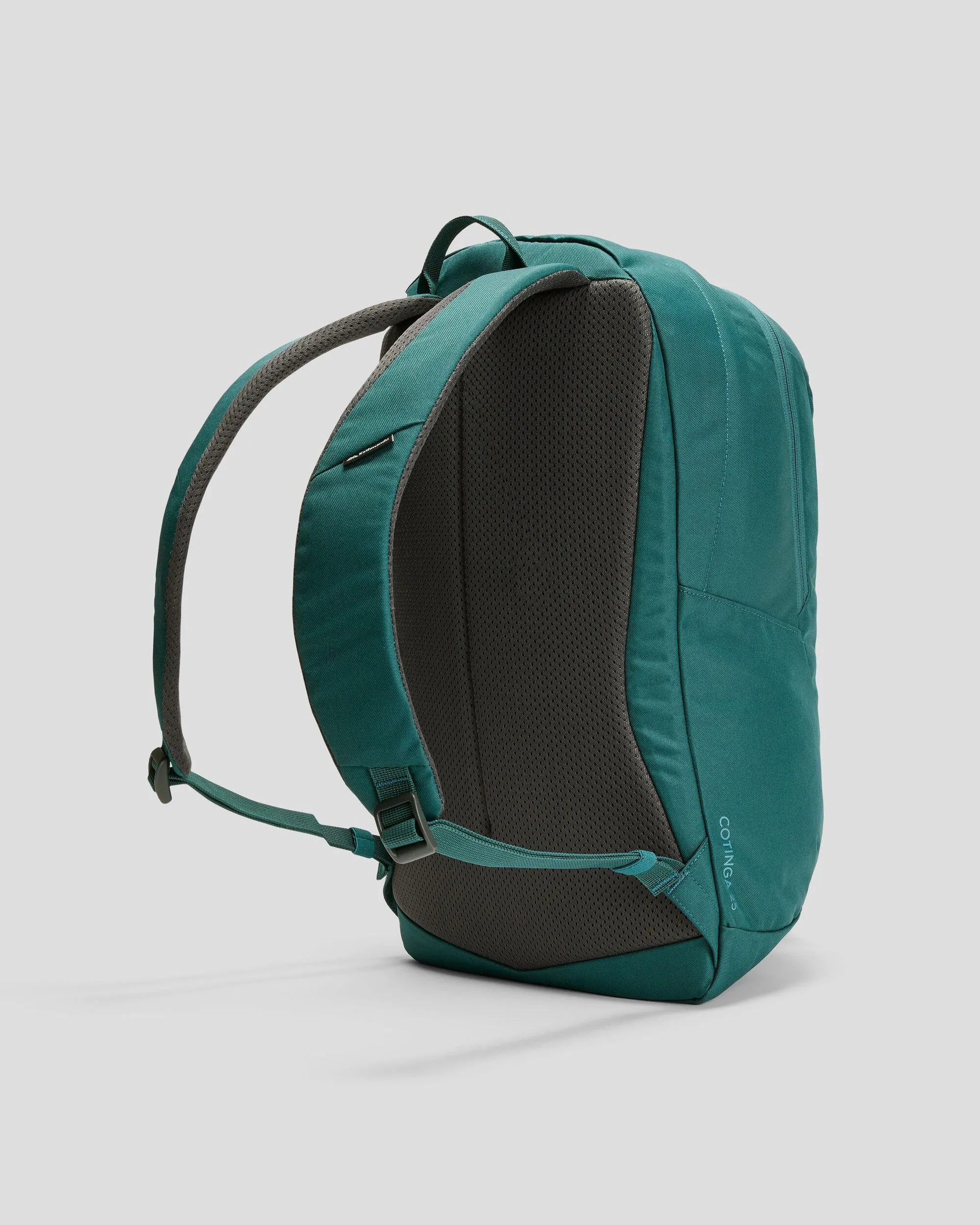 Cotinga Base Pack - 25L - Dive