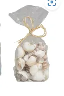 CREAM MANGO WOOD HANDMADE ORBS & VASE FILLER WITH FLORAL AND SHELL ACCENTS,