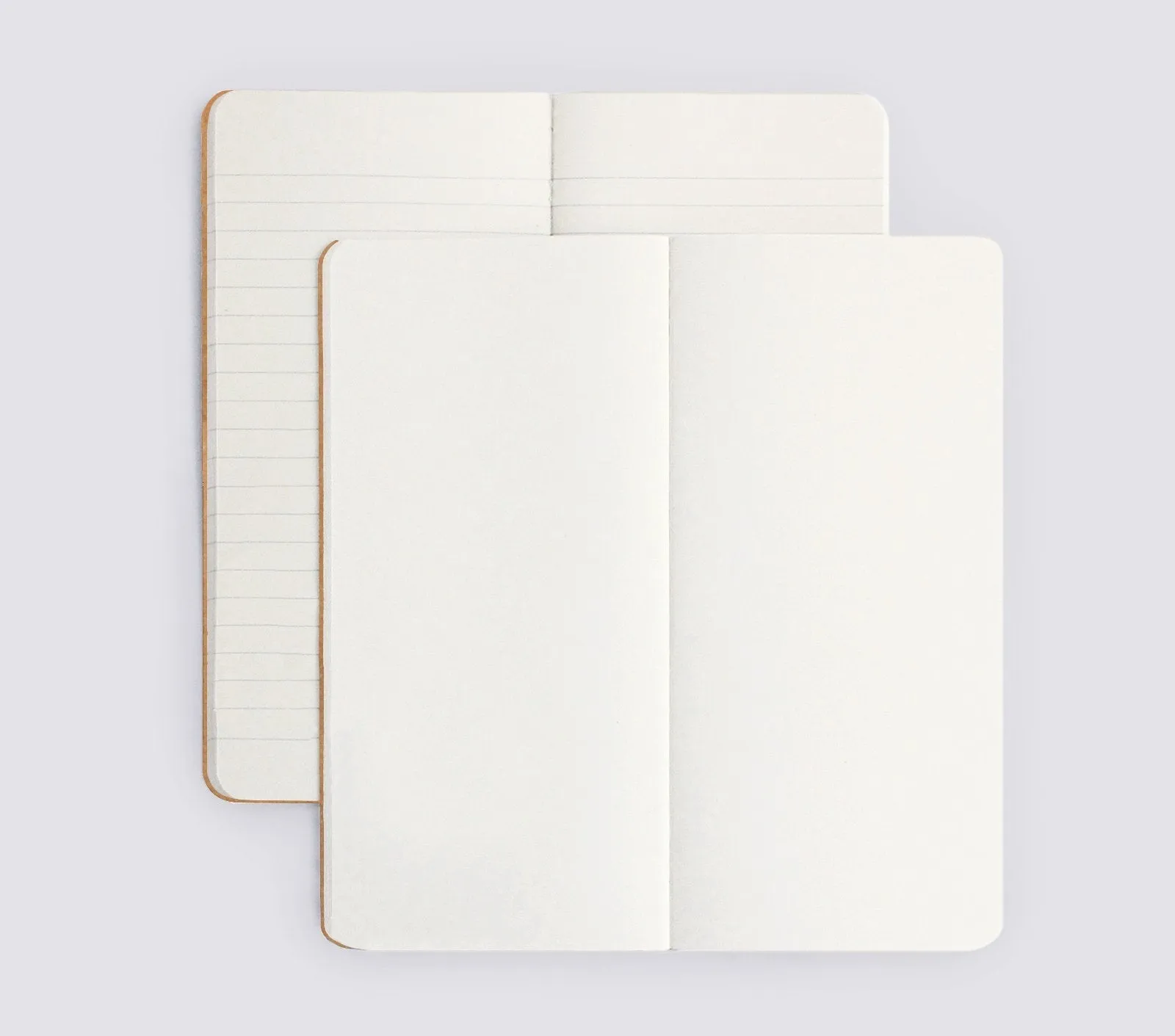 DAILY LEDGER SET OF 2