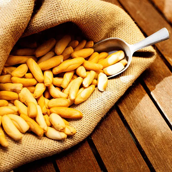 El Pico Don Pelayo (Spanish Breadsticks)  | Hand-Made