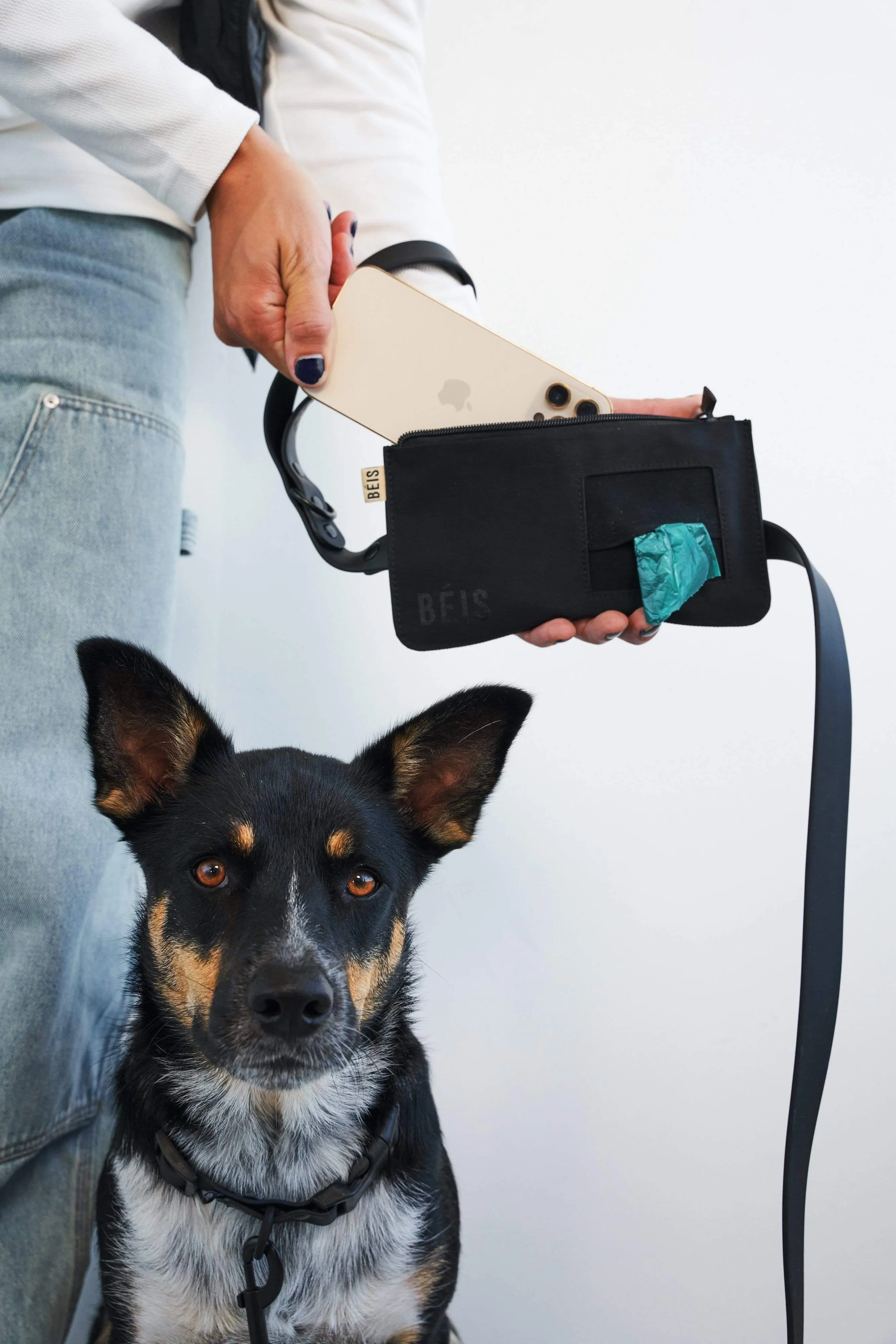 The Pet Leash in XS/S